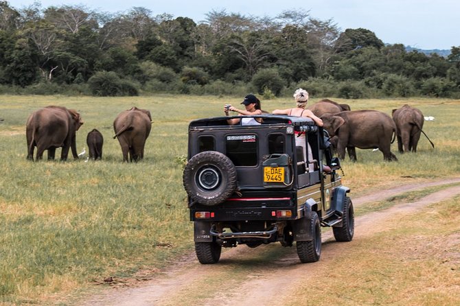 Full-Day Minneriya and Kaudulla National Parks Private Safari - Why this safari fits a Sigiriya stay