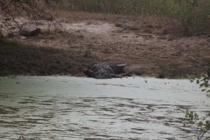 Full Day Safari Tour in Yala National Park - Breakfast, lunch, water, and fruit