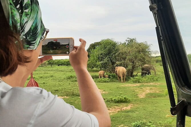 Full Day Safari Tour Yala - Inside Yala National Park