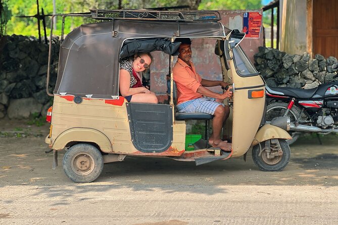 Full Day Tour Delft and Nainativu Island Adventure from Jaffna - Meeting Delft’s wild ponies
