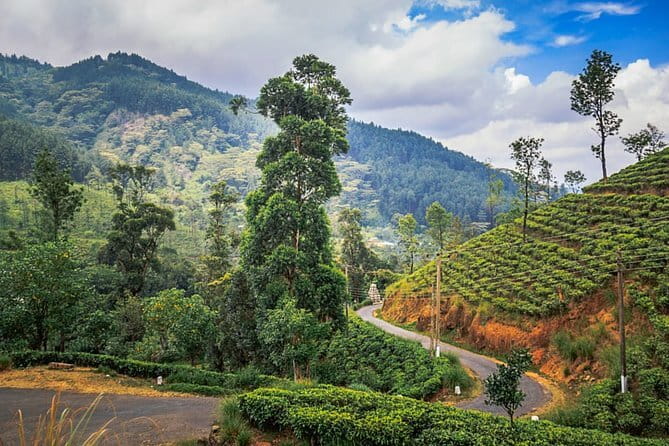 Full Day Trip to Sigiriya and Dambulla from Kandy - The $60 price, and what you actually pay