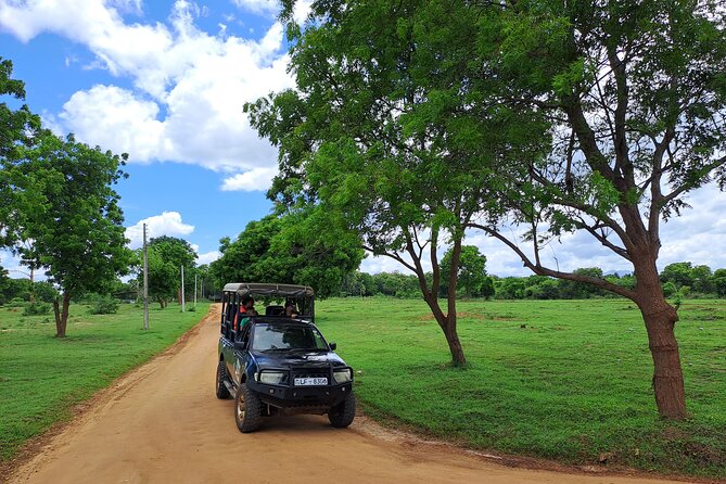 Fully Private Udawalawe National Park Safari Tour - Lunch and the return to your hotel