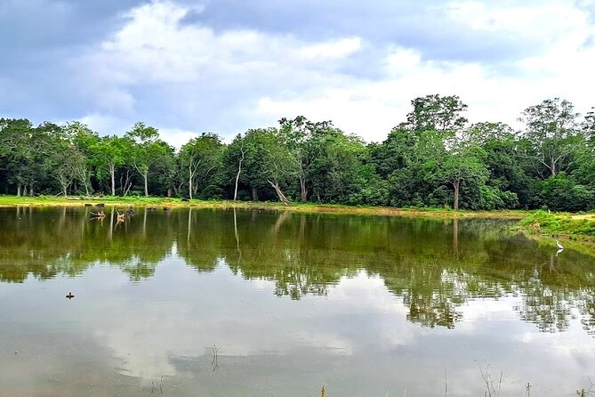 Fully Private Udawalawe National Park Safari Tour - The southern-coast pickup map