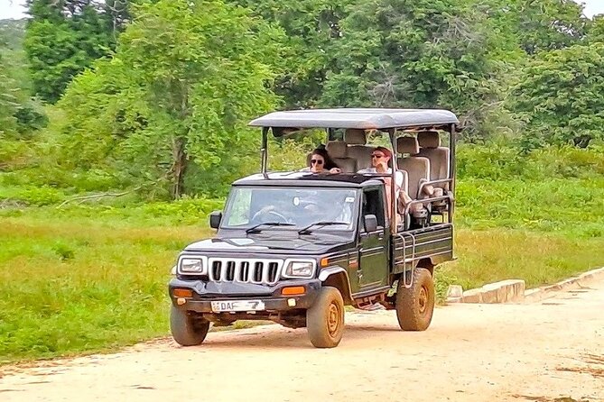 Fully Private Udawalawe National Park Safari Tour - What the strong feedback tells you