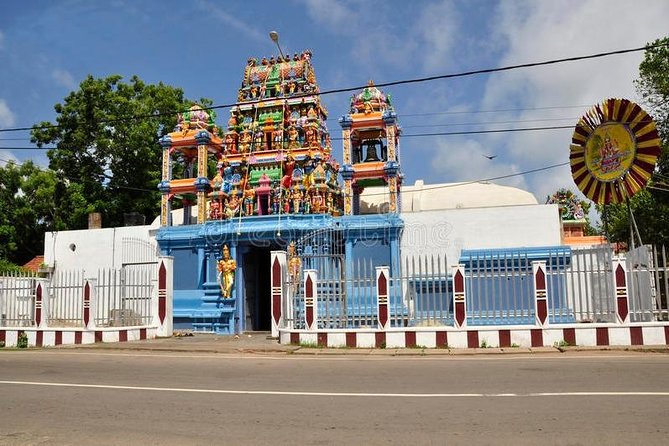 Fun and Scenic Negombo Tour by Tuk Tuk - The fish market brings you closest to daily Negombo
