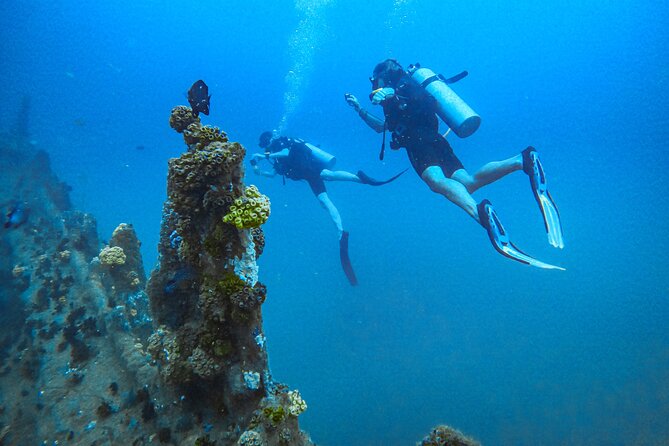 Fun Dives For Certified Divers - Key points to know before booking