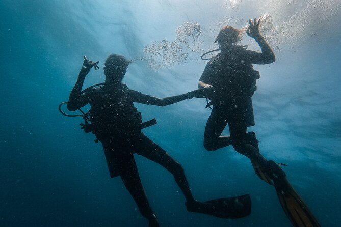 Fun Dives For Certified Divers - Rough seas and limited visibility