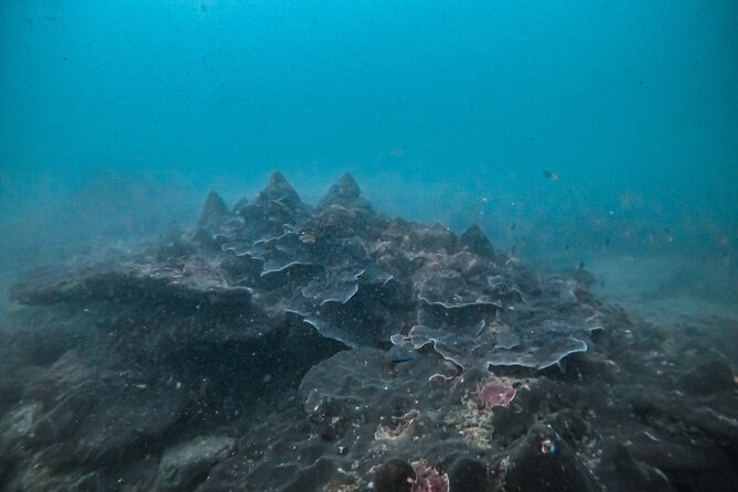 Fun Dives For Certified Divers - Equipment, water, and the computer question