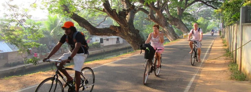 Galle: All Inclusive City & Fort Guided Cycling tour - The market stop brings daily life into focus
