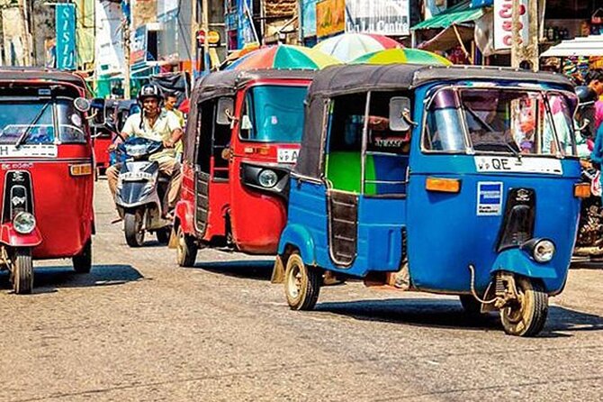 Galle City Sightseeing Tour by Tuk Tuk - Meet the turtles at Koggala