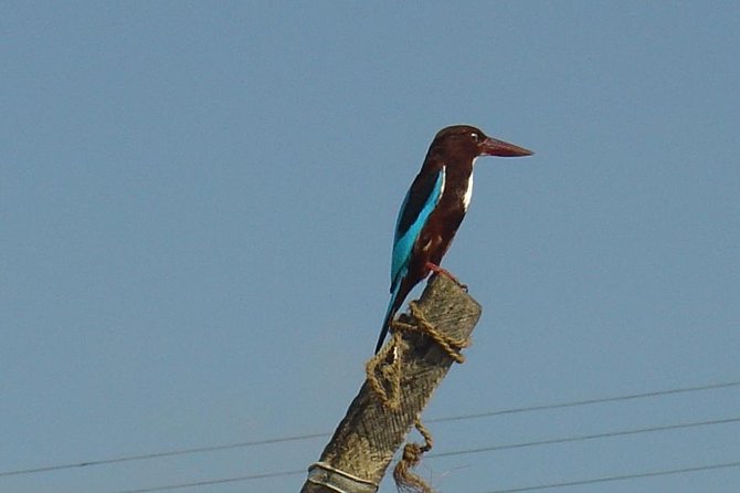 Galle Day Tour: Boat Safari, Dutch Fort, Stick Fishing & Turtles - Two hours inside Galle Dutch Fort