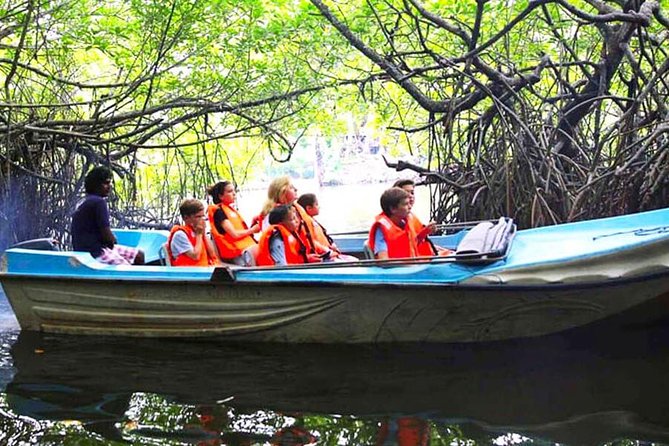 Galle Day Tour from Colombo or Negombo by Private Car , Van with Driver - Why a private car helps on the Colombo to Galle coast