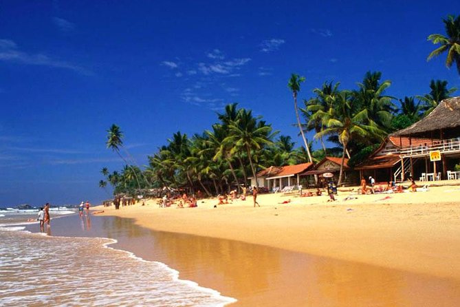 Galle Day Tour from Colombo or Negombo by Private Car , Van with Driver - Kosgoda Sea Turtle Conservation Project