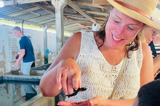 Galle Day Tour with Turtle Hatchery & River Boat Safari - The sea turtle hatchery and turtle beach visit