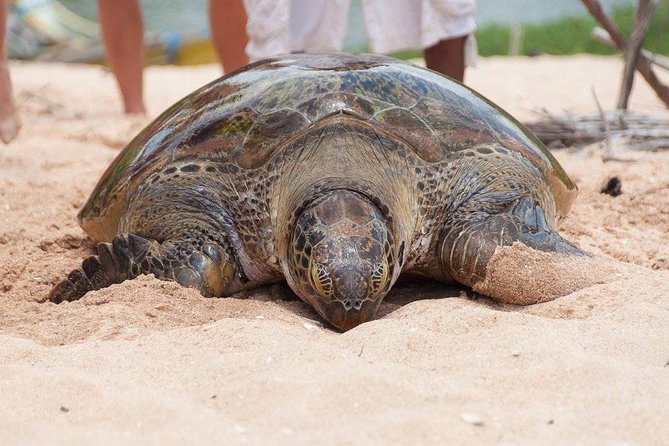 Galle Day Trip From Colombo - Booking and cancellation advice