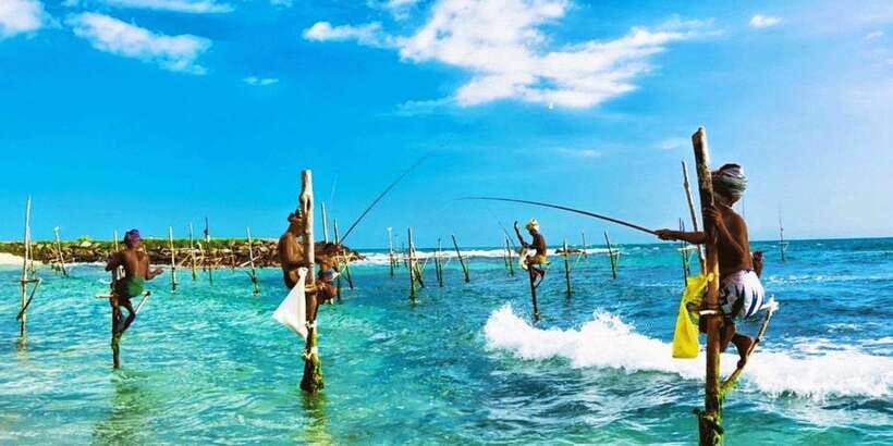 Galle Day Trip - River Safari, Sea Turtle & Stilt Fishermen - Turtle Conservation and the Coastal Wildlife Story