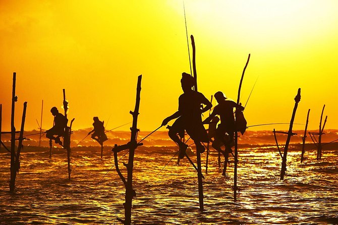Galle Day Trip & Stilt Fishermen from Koggala - Why this Galle coast trip works well