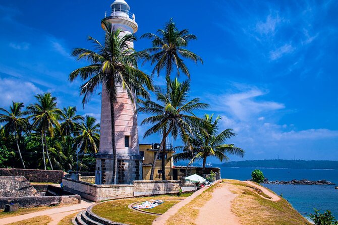 Galle Day Trip with River Safari, Sea Turtle & Stilt Fishermen - Bentota River Safari: the best part for many visitors