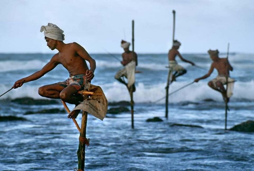 Galle Fort, Bentota, Hikkaduwa Beach: Day Tour from Colombo - Key points at a glance