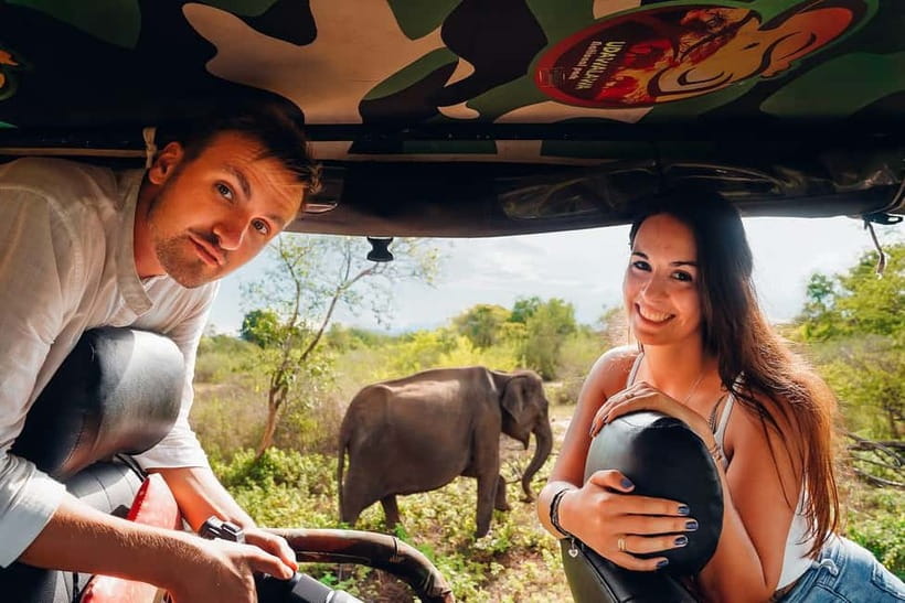 Galle/Mirissa/Hiriketiya: Drop to Ella & Udawalawa Safari - Why this transfer works better than a plain road journey