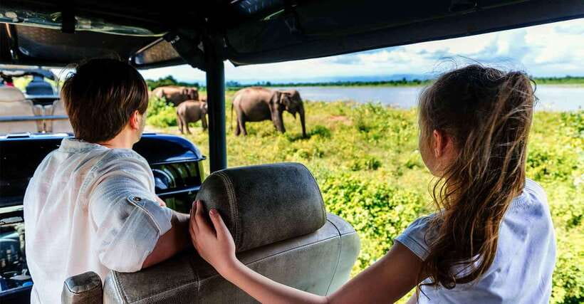 Galle/Mirissa/Hiriketiya: Drop to Ella & Udawalawa Safari - Changing from the transfer car to the safari jeep