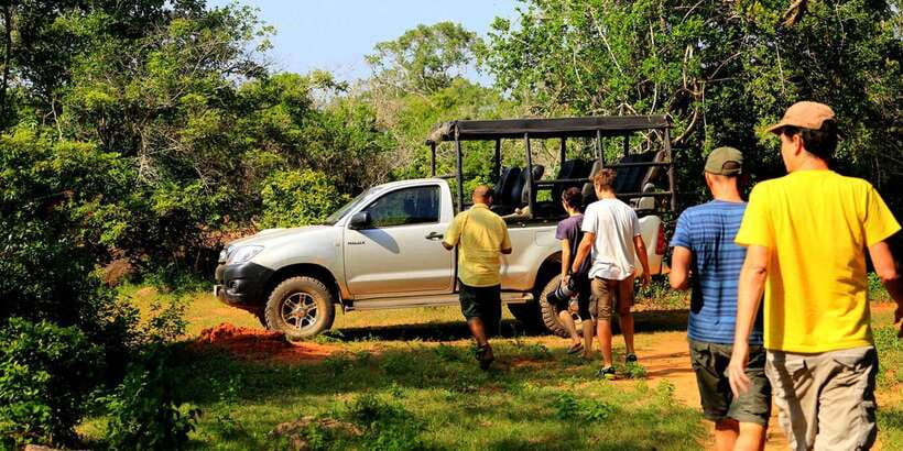 Galle/Mirissa/Tangalle:Udawalawa Safari & Elephant Orphanage - Key points to know before booking