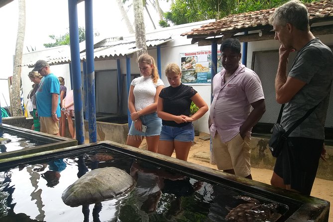 Galle sightseeing tour - Galle Fort: the strongest historical stop