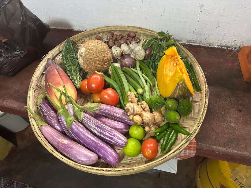 Galle: Traditional Sri Lankan Cooking Class - A generous meal with room for dietary requests
