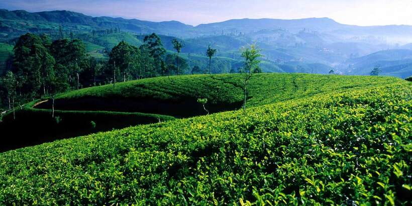 Galle/Weligama/Mirissa/Hiriketiya/Tangalle: Day Trip to Ella - Ravana Falls offers an easy nature stop