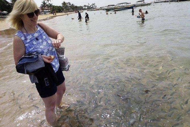 Glass Bottom Boat Tour and Snorkeling Hikkaduwa - Is $19 good value?