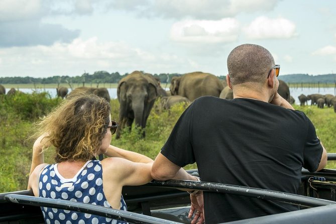 GO WILD! Double Safari Day Trip (Yala & Udawalawe) - Private & All Inclusive - Private transport makes the marathon easier
