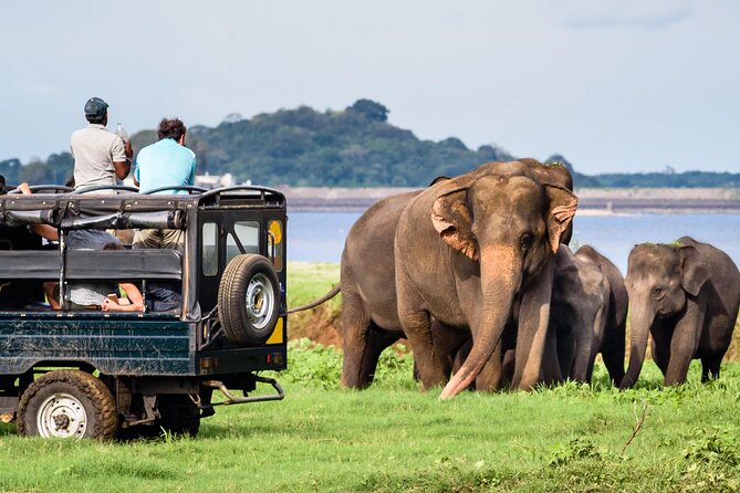 GO WILD! Double Safari Day Trip (Yala & Udawalawe) - Private & All Inclusive - The early start sets the tone