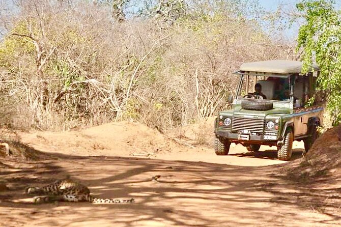 Guided Leopard Safari in Yala National Park in a Land Rover Defender - How the leopard search works