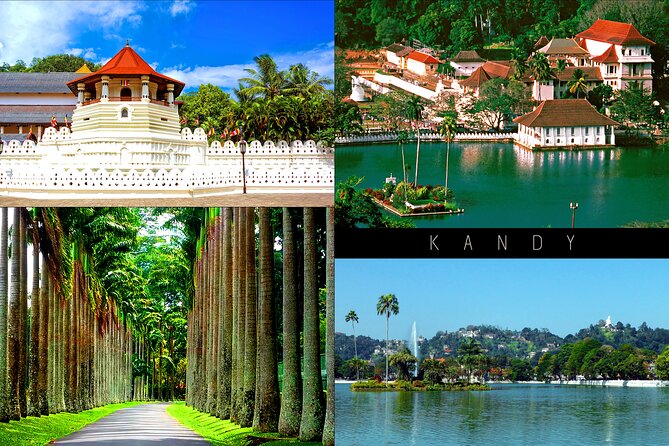 Half-Day Kandy City Tour by Tuk Tuk - 90 minutes among the trees at Peradeniya
