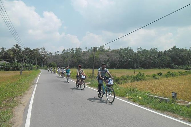 Half-Day Lagoon and Village Cycling Tour in Galle - Starting in Unawatuna, not inside Galle Fort