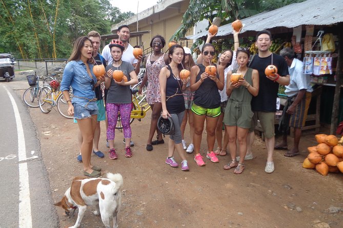 Half-Day Lagoon and Village Cycling Tour in Galle - The Buddhist temple and the cultural side of the ride