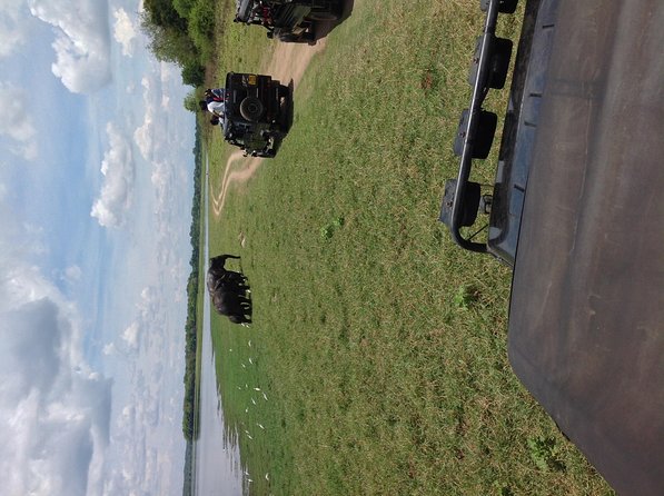 Half Day - Minneriya National Park Safari Tour From Habarana/Sigiriya - Why this Minneriya safari is appealing from Habarana or Sigiriya