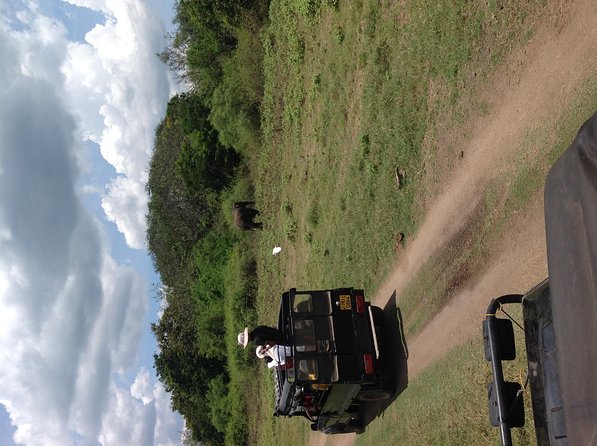 Half Day - Minneriya National Park Safari Tour From Habarana/Sigiriya - The ride into Minneriya National Park