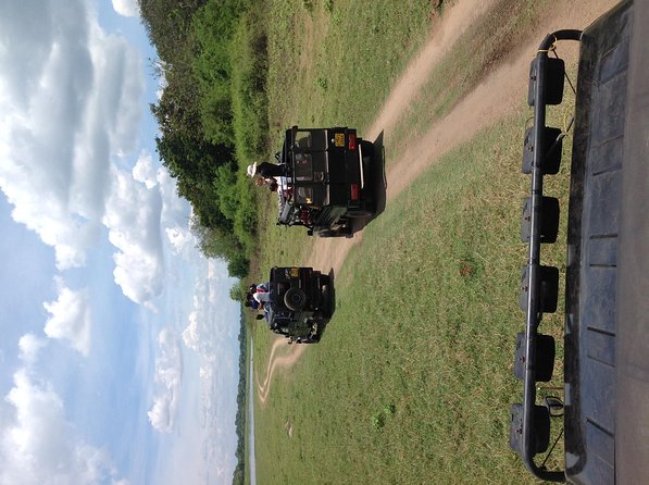 Half Day - Minneriya National Park Safari Tour From Habarana/Sigiriya - What the driver may and may not explain