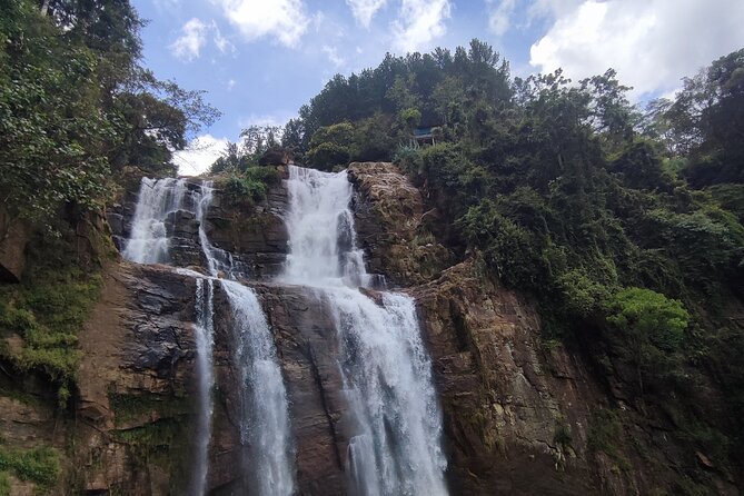 Half-Day Private Trip to Waterfalls and Tea Factory - Damro Labookellie Tea Centre and Tea Garden