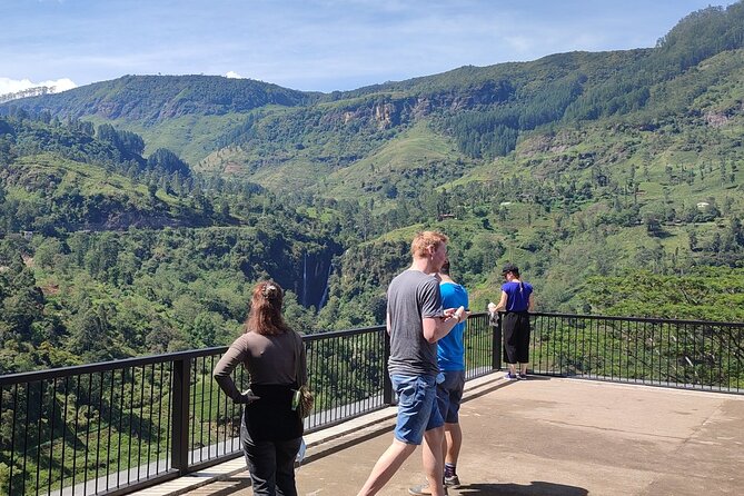 Half-Day Private Trip to Waterfalls and Tea Factory - Finishing at Gregory Lake or your hotel