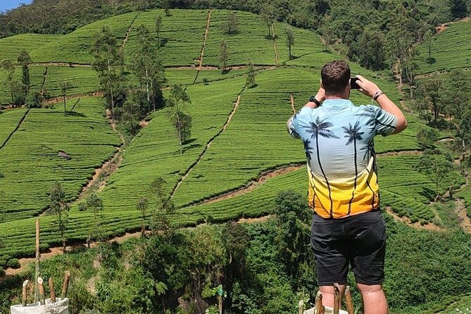Half-Day Private Trip to Waterfalls and Tea Factory - Guides, photo stops, and the private format