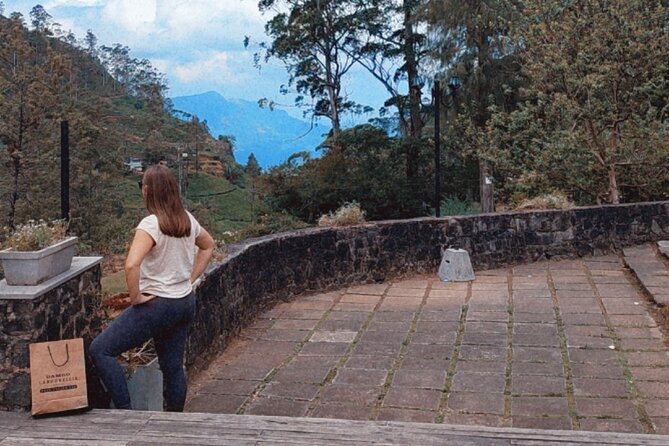 Half-Day Private Trip to Waterfalls and Tea Factory - What the $25 price really gives you