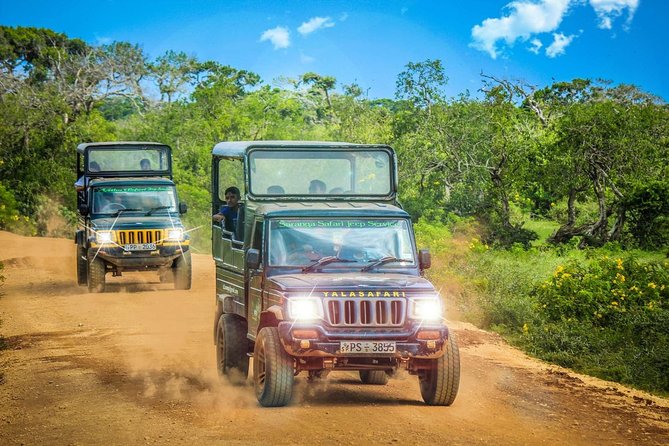 Half Day Safari at Yala National Park with Lunch - Lunch and the value of the included costs