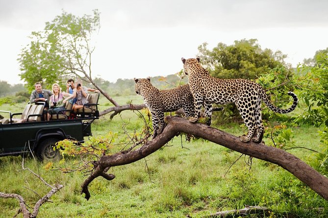 Half Day Safari at Yala National Park with Lunch - Who will get the most from this Yala trip