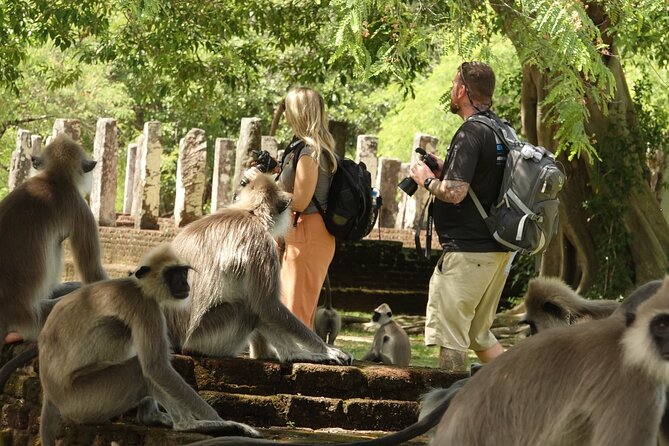 Half Day Safari Guided Tour - Udawalawe National Park for elephant sightings