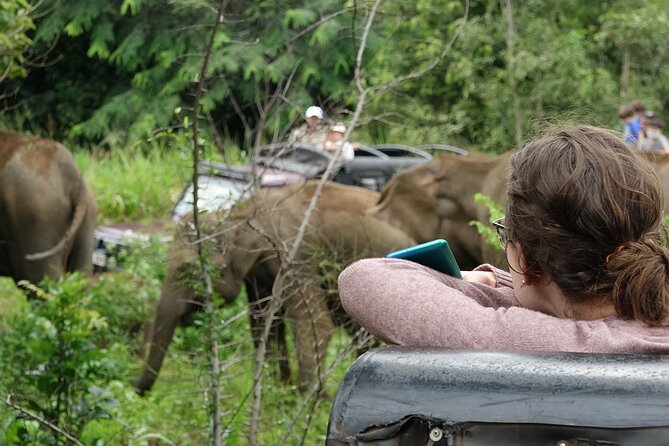 Half Day Safari Guided Tour - The Elephant Transit Home and a different kind of wildlife stop