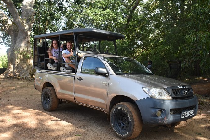 Half Day Safari Guided Tour - Why the $89 price can be good value