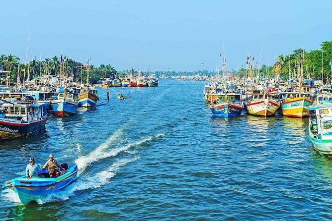 Half Day Tour to Muthurajawela, Lagoon, Dutch Canal and Mangroves - Negombo Lagoon and the working waterfront