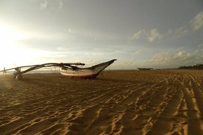Half Day Tour to Muthurajawela, Lagoon, Dutch Canal and Mangroves - A guide-led search for birds and reptiles